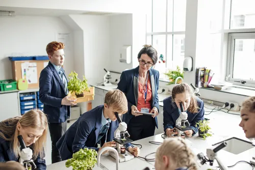 Teachit schools