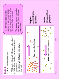 Diffusion