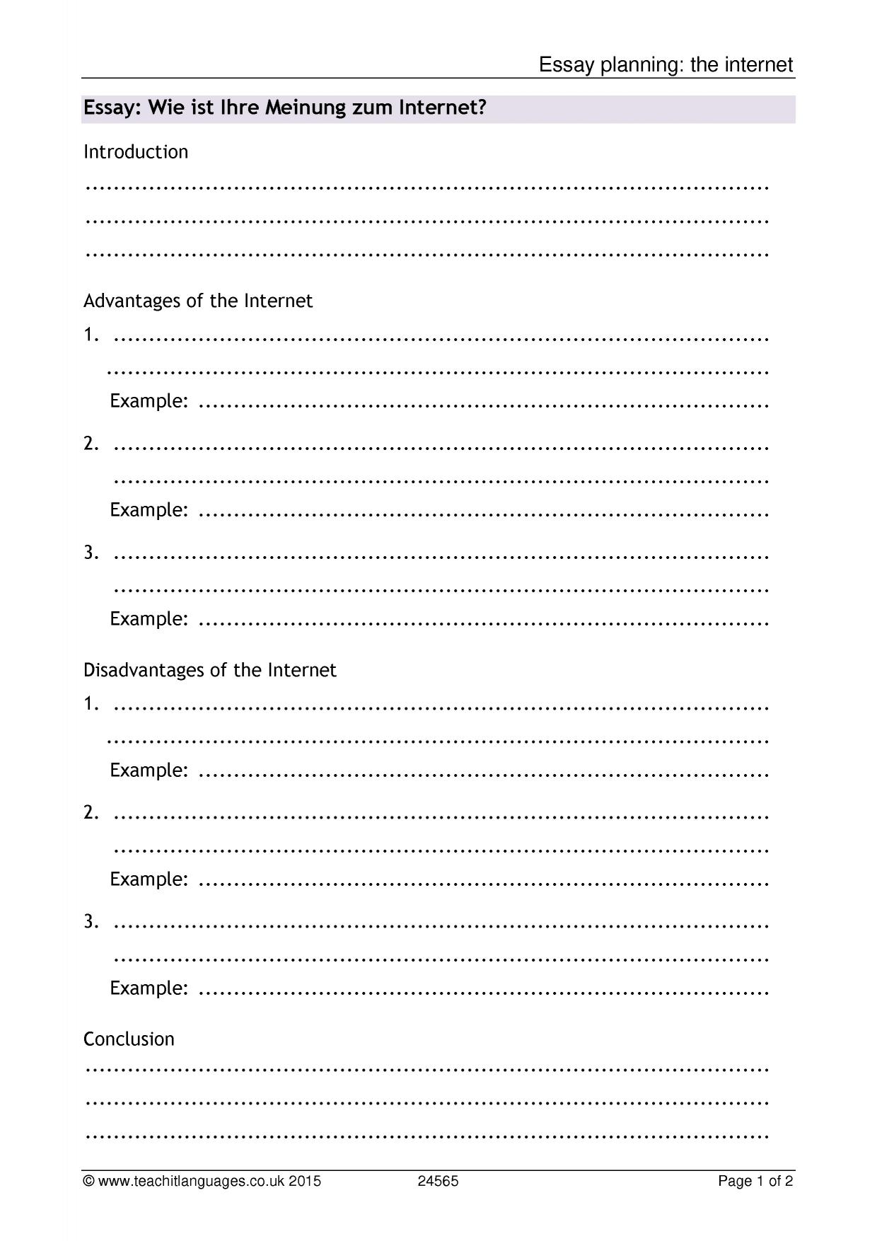 Essay