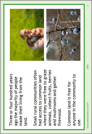 Biodiversity