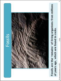 Fossils