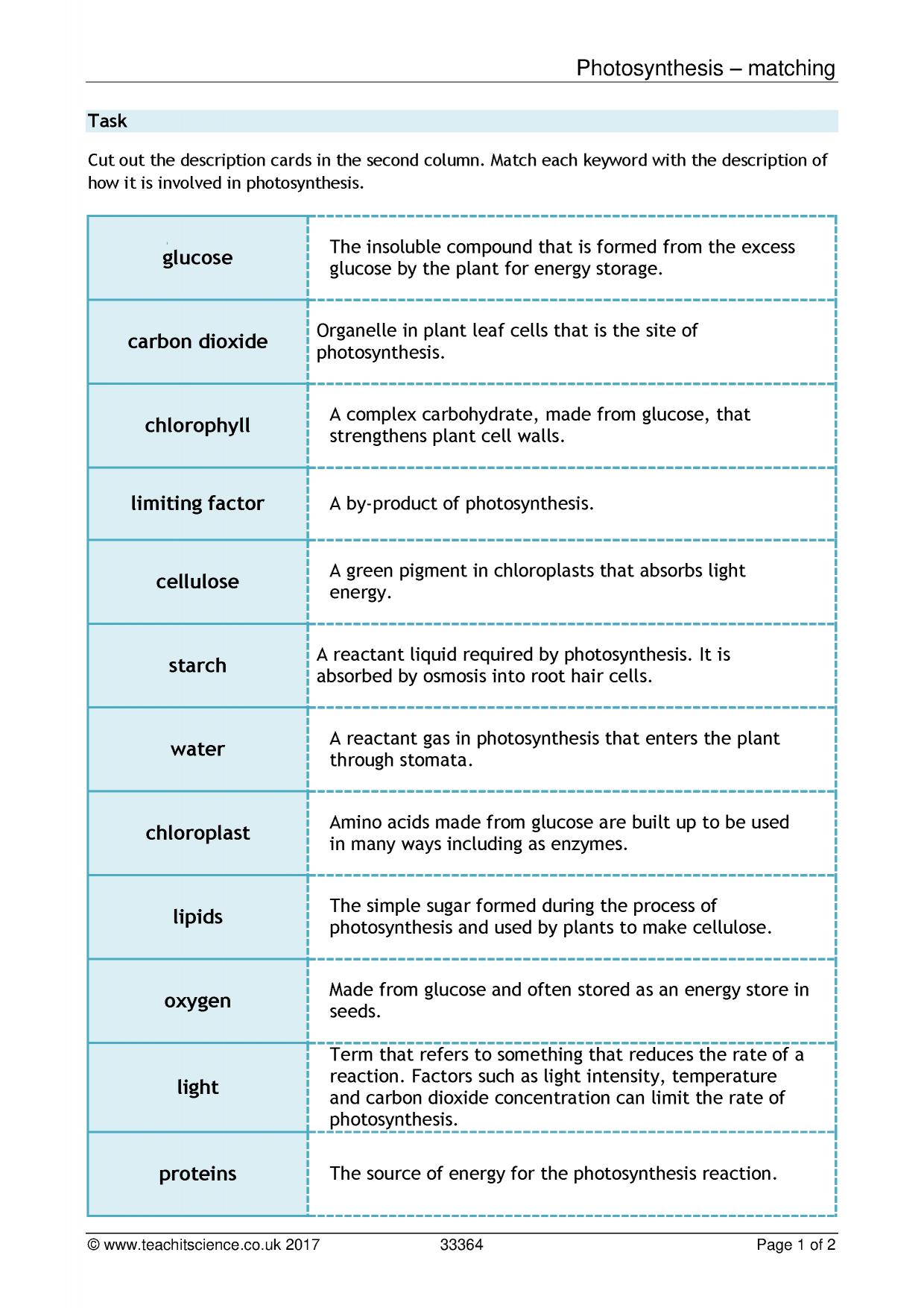 Photosynthesis