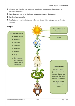 Make a food chain mobile