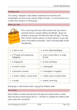 Carrier bag detectives