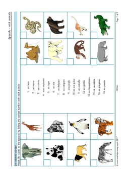 Spanish – wild animals