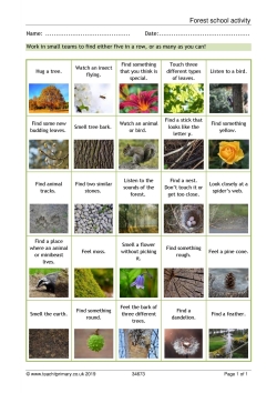 Forest school activity